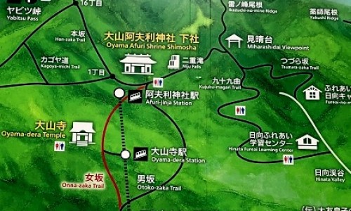 广金钱草功效百度百科-广金钱草功效网广金钱草功效归经知识网站,分享广金钱草功效与作用与主治大全